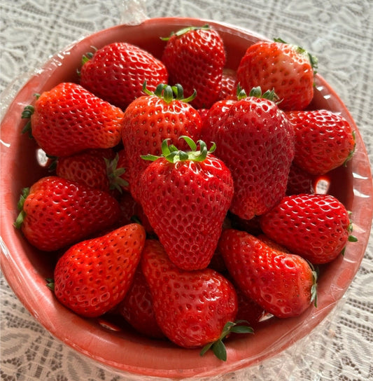 strawberry with cream 500g Gift